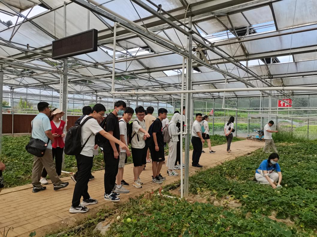 20220808-0814-开云网“林枫计划”师生赴江西赣县区调研实践-马小涵摄-支队师生参观五云镇夏潭村蔬菜研学基地.jpg